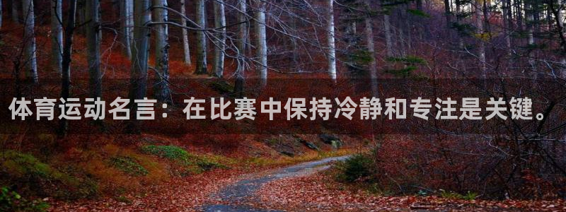 vsport体育官方集团官网：体育运动名言：在比赛中