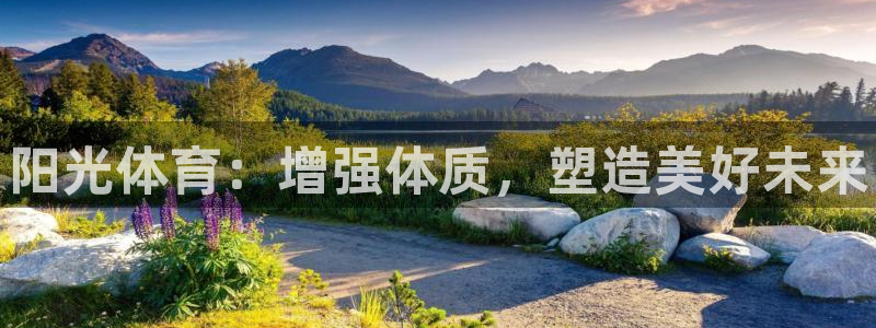 vsport体育官方正版app代理：阳光体育：增强体