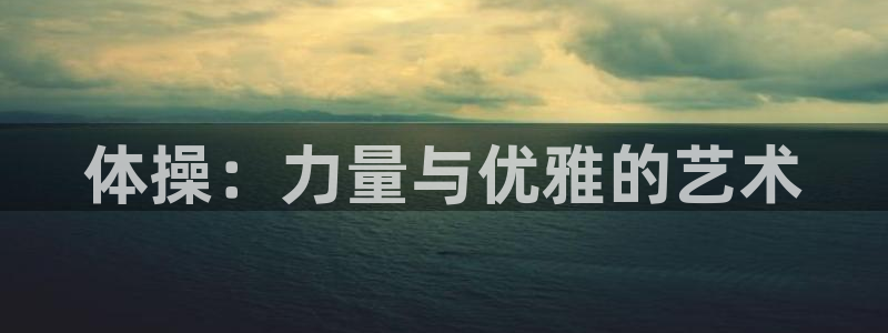 vsport体育官网下载招商电话是多少啊：体操：力量与优雅的