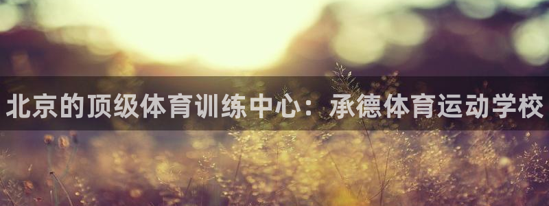 vsport体育官方正版app官方：北京的顶级体育训