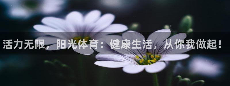 vsport体育官网下载招商电话号码是多少号：活力无