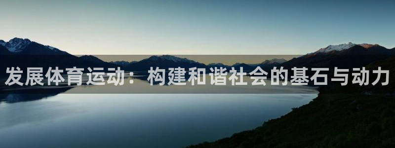 vsport体育官方正版app娱乐是那个系列的台子：