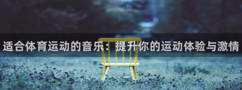 vsport体育官方正版app集团logo：适合体育