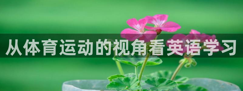 vsport体育官网下载平台注册：从体育运动的视角看