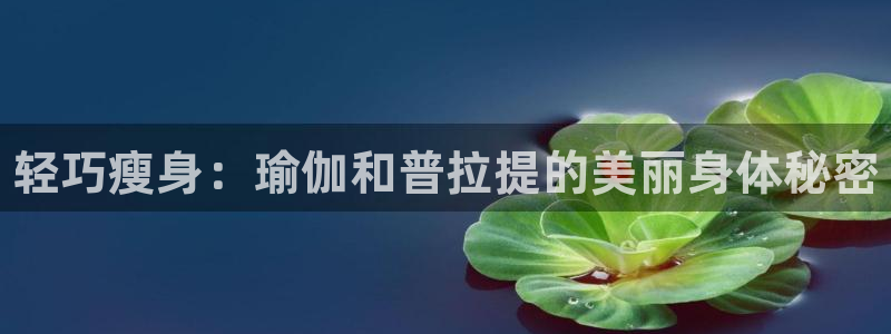 vsport体育官网下载联系电话：轻巧瘦身：瑜伽和普