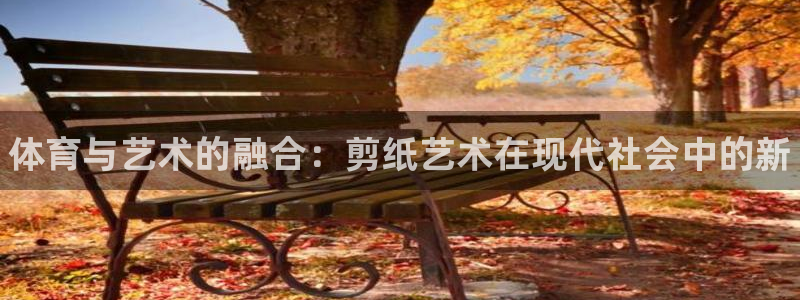 vsport体育官方正版app集团官网首页：体育与艺术的融合