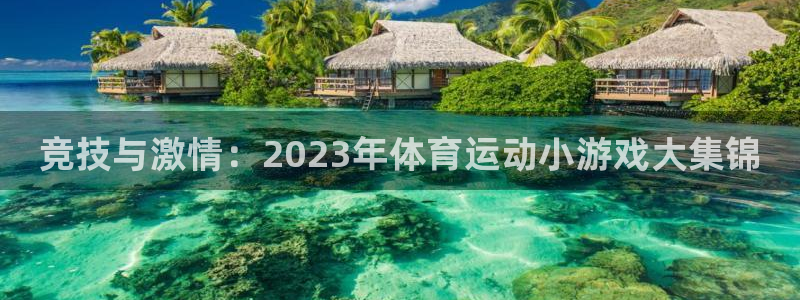 vsport体育官网下载平台APP：竞技与激情：20