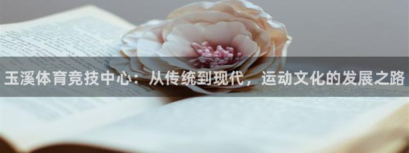 vsport体育官网下载招商：玉溪体育竞技中心：从传统到现代