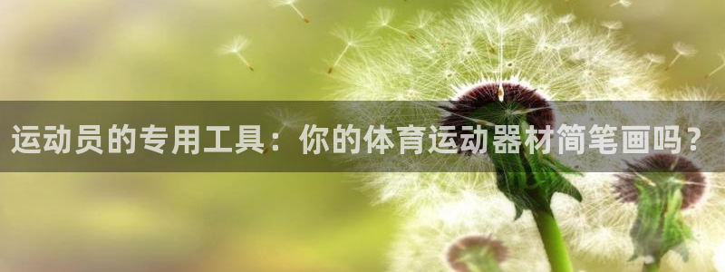 vsport体育官网下载软件：运动员的专用工具：你的体育运动