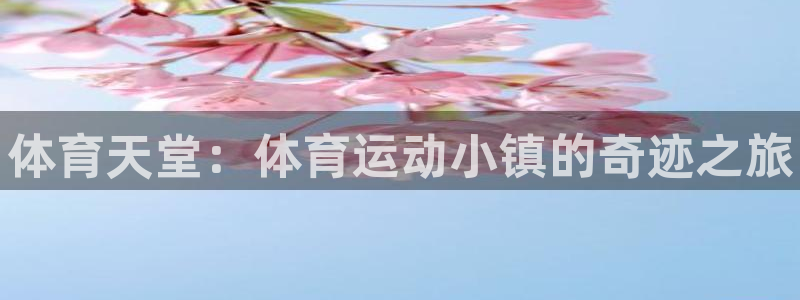 vsport体育官网下载招商电话是多少啊