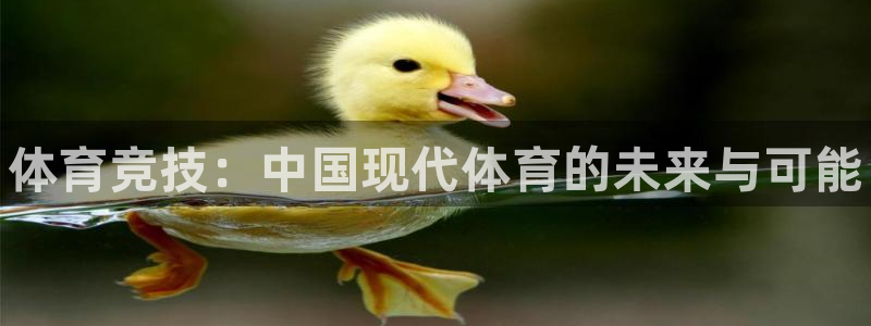 vsport体育官方正版app娱乐平台