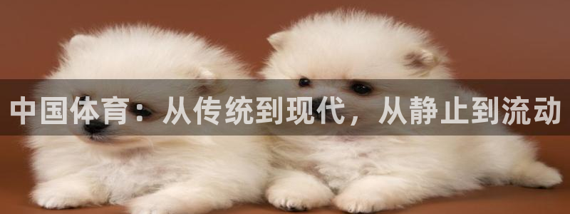 vsport体育官网下载开户