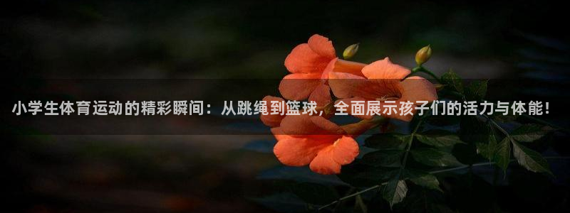 vsport体育官网下载联系电话：小学生体育运动的精彩瞬间：