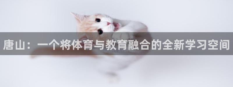 vsport体育官网下载平台注册要钱吗：唐山：一个将体育与教