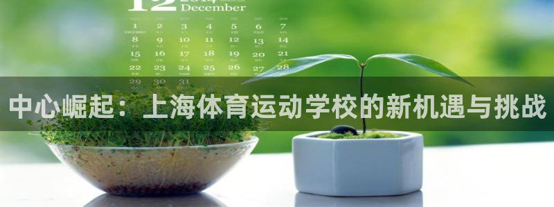 vsport体育官网下载平台假的吗是真的吗吗：中心崛