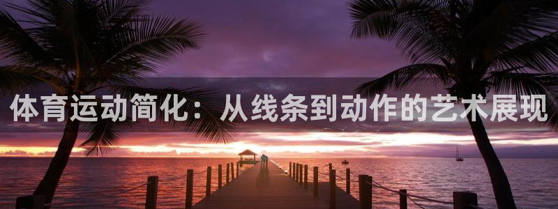 vsport体育官方集团官网：体育运动简化：从线条到动作的艺