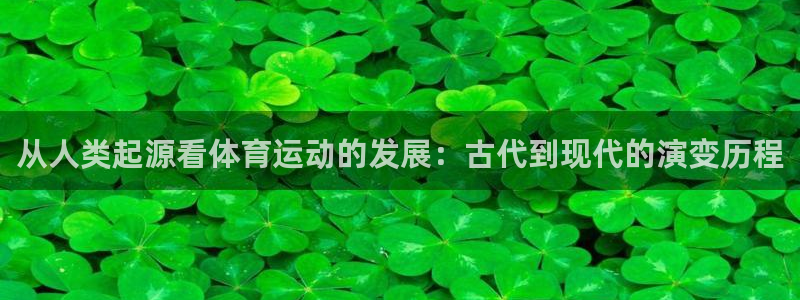 vsport体育官网下载平台是正规平台吗安全吗