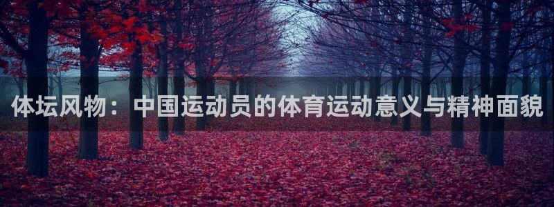 vsport体育官网下载招商电话号码是多少啊：体坛风物：中国
