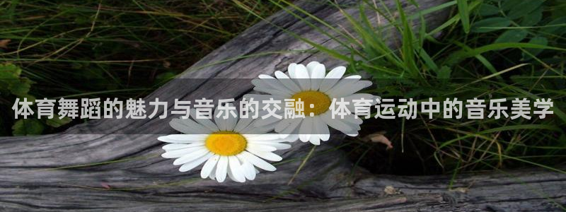 vsport体育官网下载平台注册：体育舞蹈的魅力与音乐的交融
