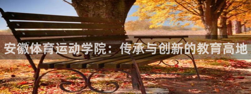 vsport体育官方正版app娱乐平台：安徽体育运动