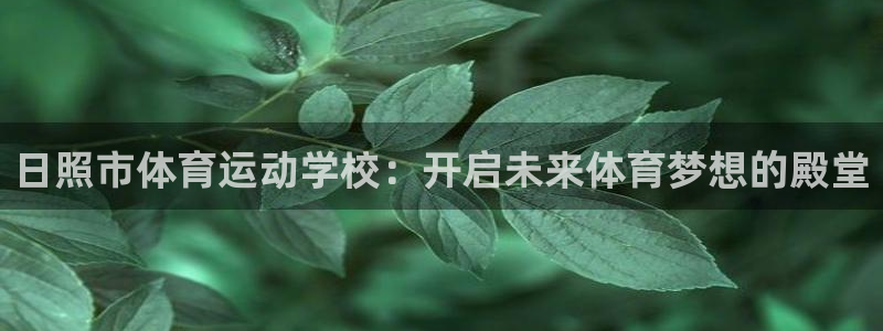 vsport体育官方正版app科技：日照市体育运动学校：开启