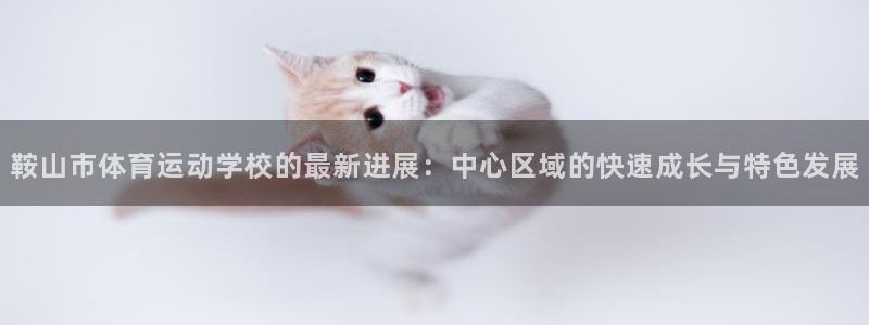 vsport体育官方平台体育：鞍山市体育运动学校的最