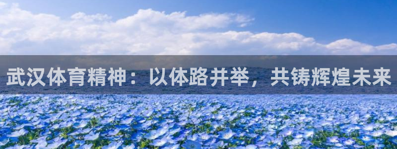vsport体育官方正版app新能源：武汉体育精神：