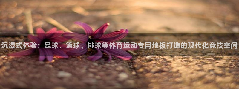 vsport体育官网下载招商电话号码查询：沉浸式体验