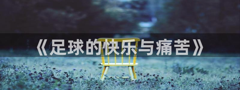 vsport体育官网下载招商电话地址查询：《足球的快乐与痛苦