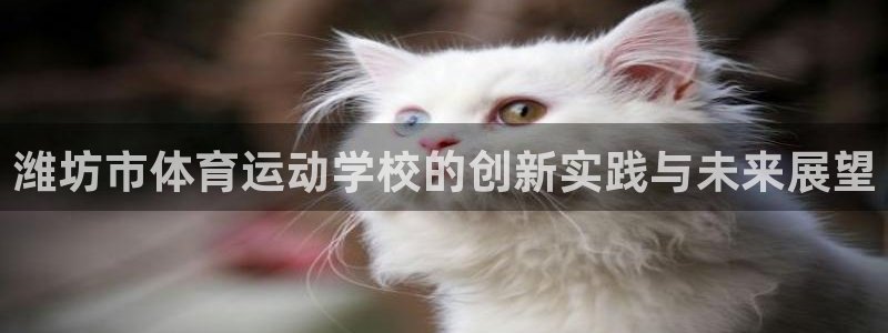 vsport体育官网下载官方客服电话：潍坊市体育运动学校的创